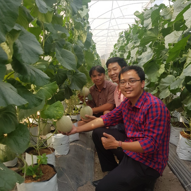 Hợp tác xã Nông nghiệp Công nghệ cao Kim Long